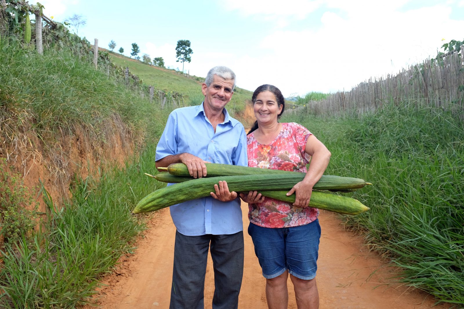 Agricultura familiar você sabe o que é POSITIV A