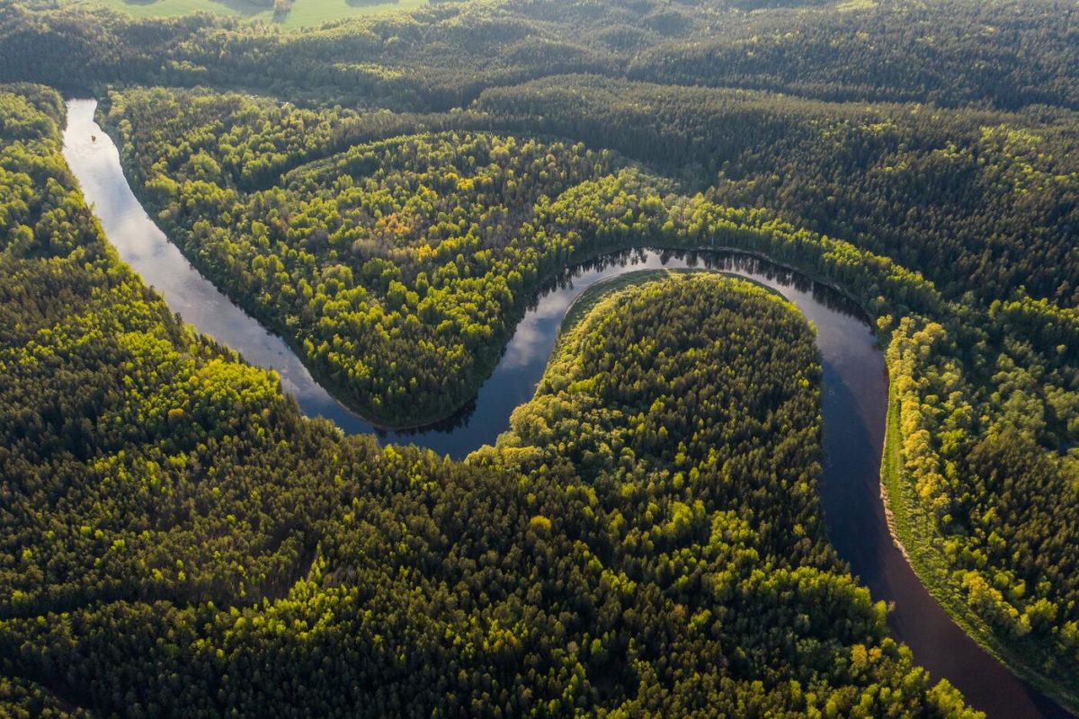 Vista aérea da floresta amazônica