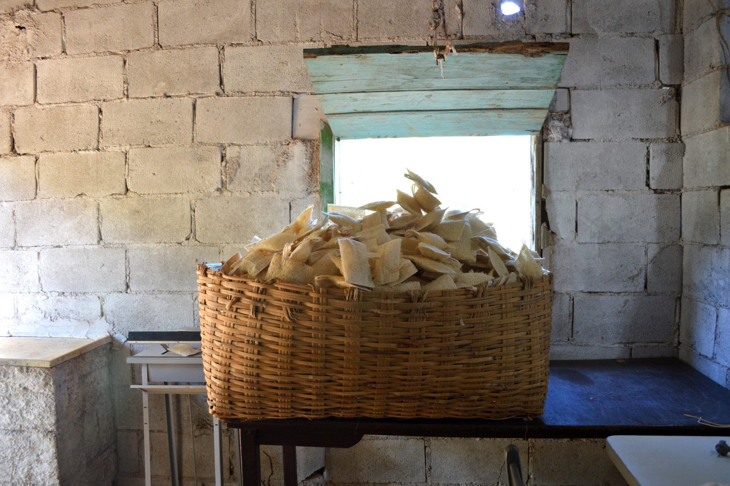 Buchas vegetais prontas para o uso