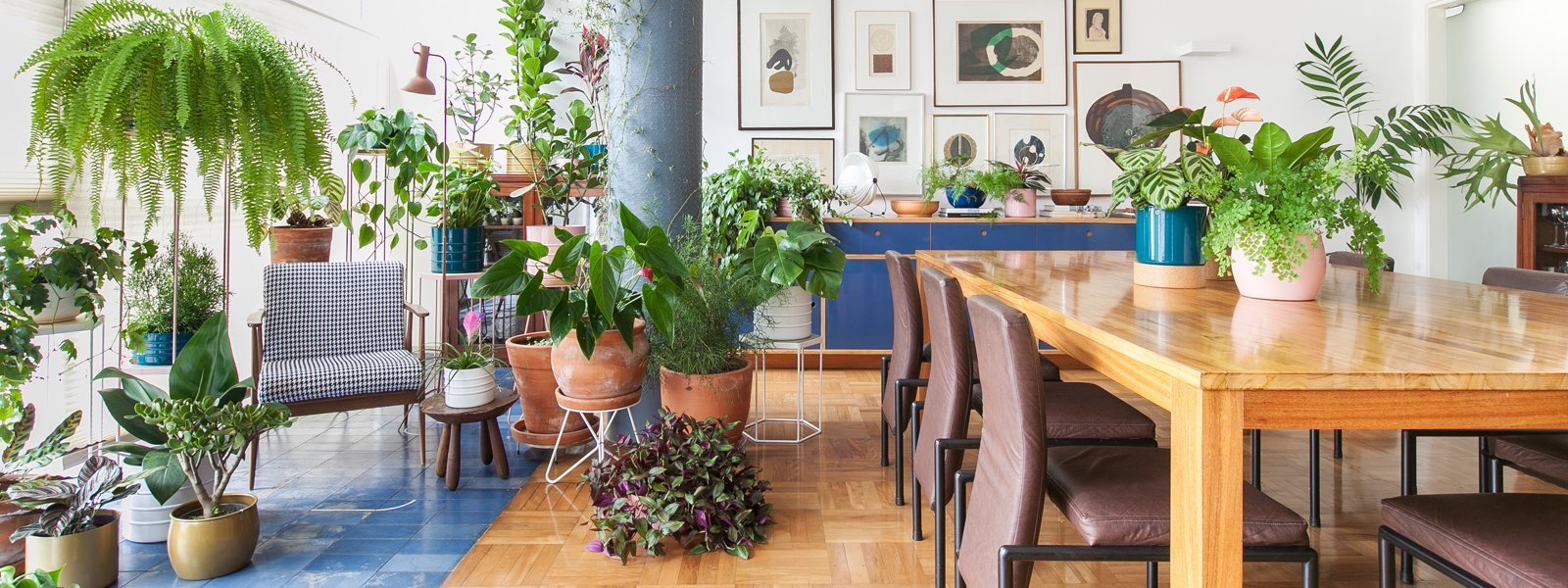 Desintoxique sua Casa