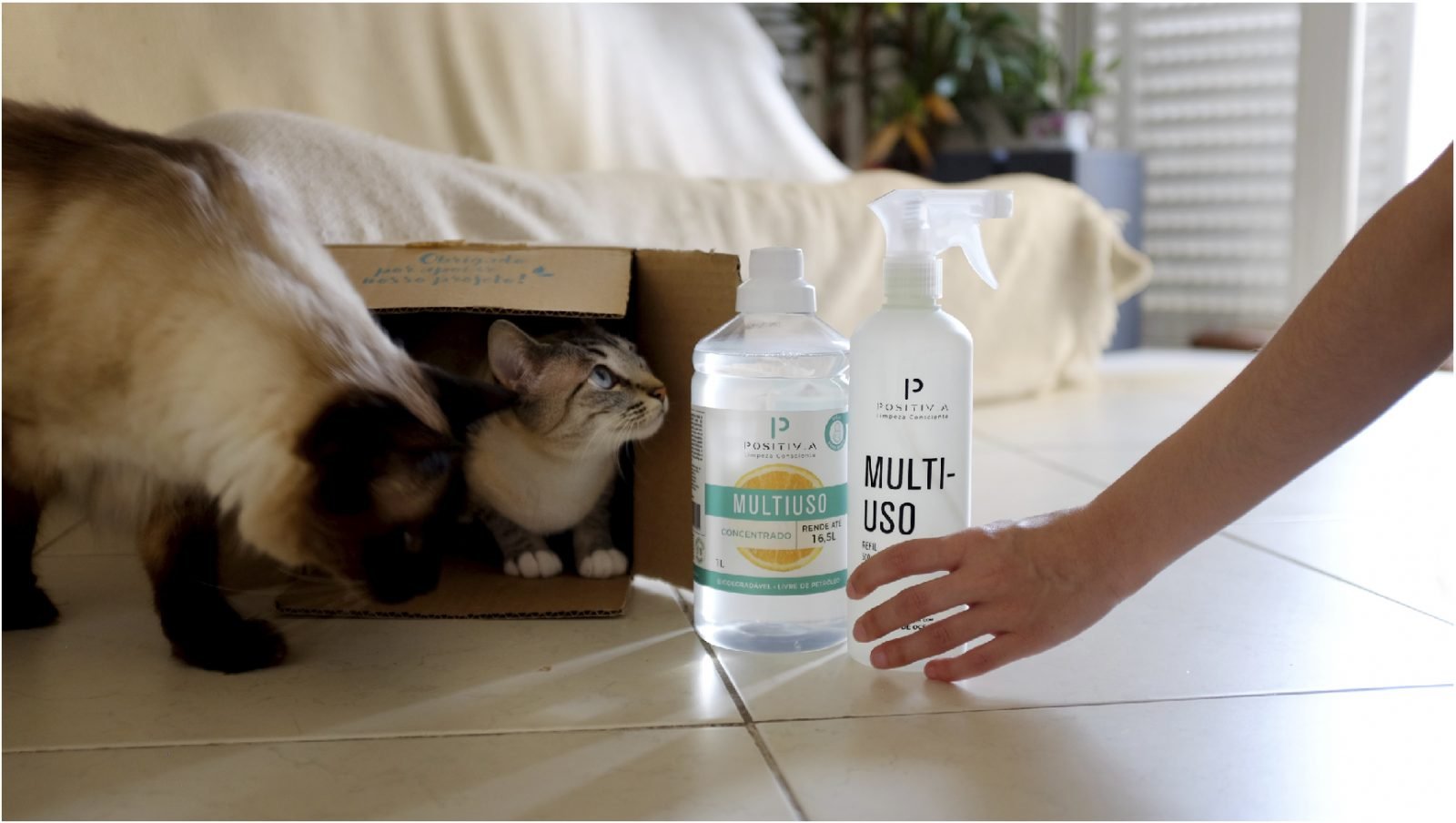 Proteja seus Gatos com Produtos Seguros