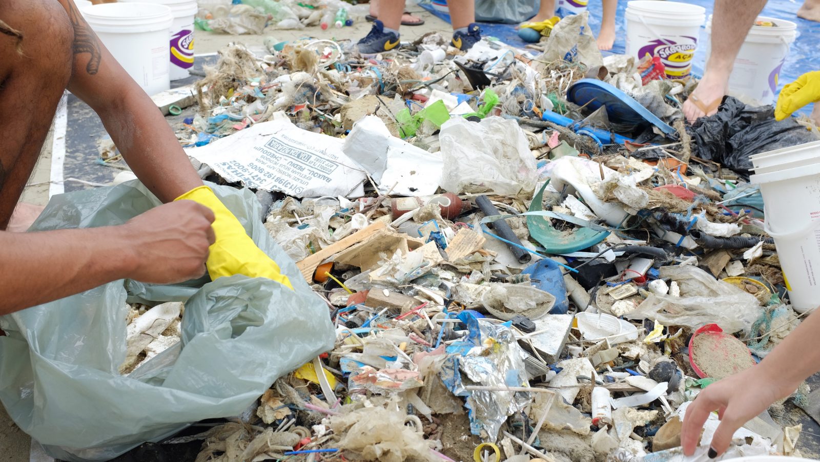 Mutirão Oceano Limpo