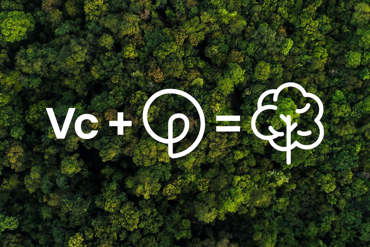 Novembro Consciente: confira tudo sobre a campanha