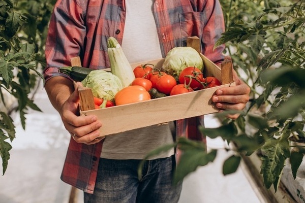 3 práticas do veganismo