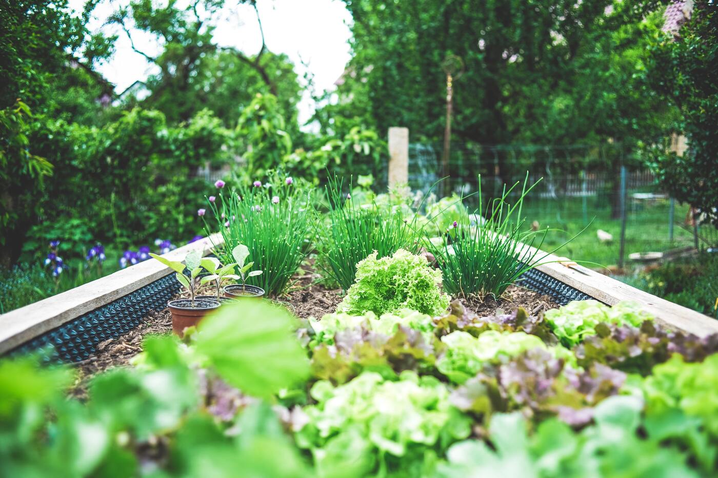 O que é agroecologia?
