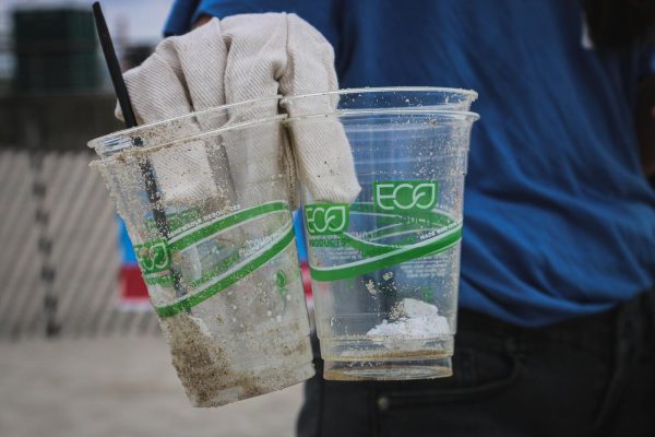 Copos de plástico escrito "eco" ilustram o greenwashing