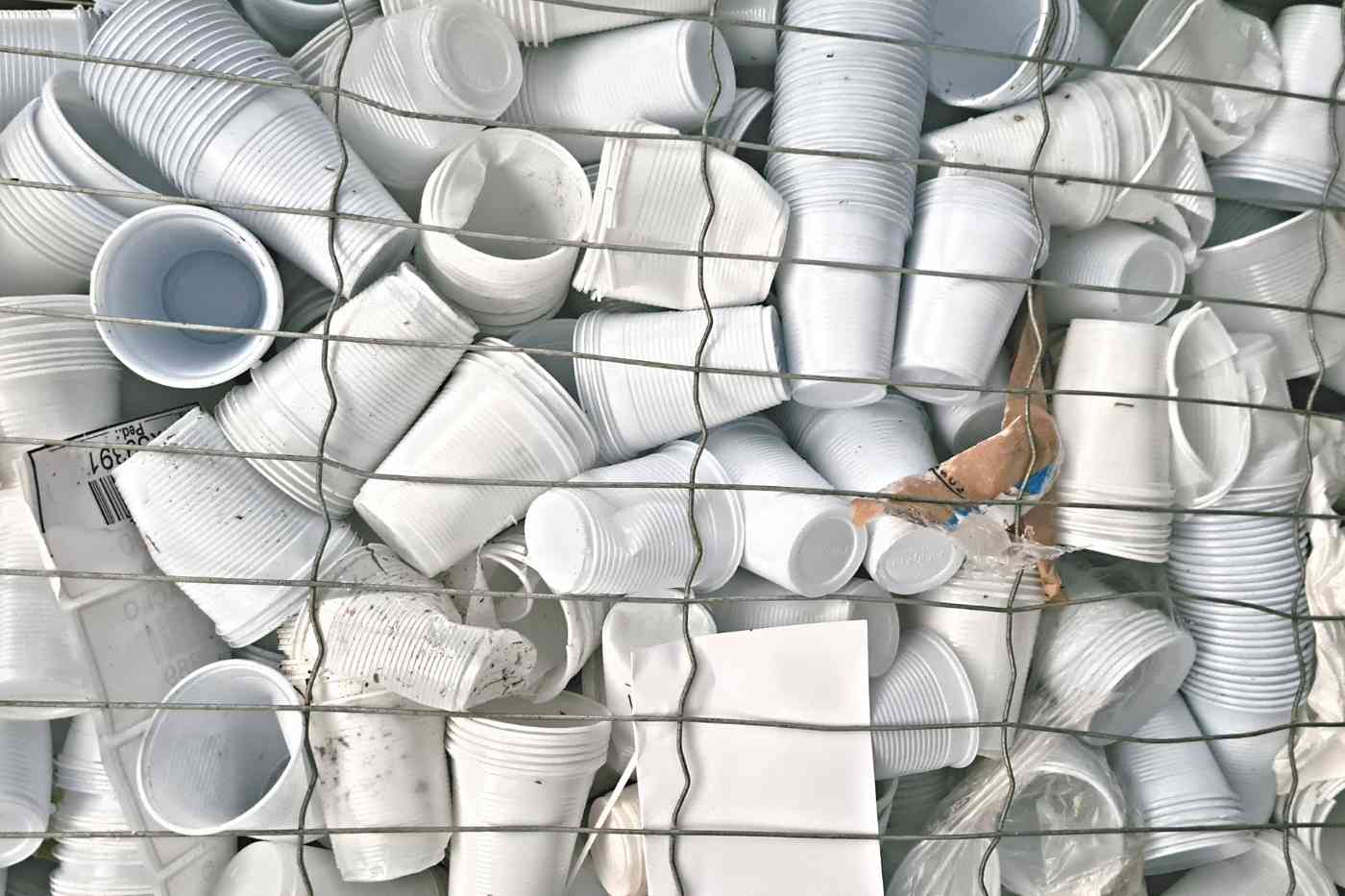 A cultura do descartável: como chegamos até aqui