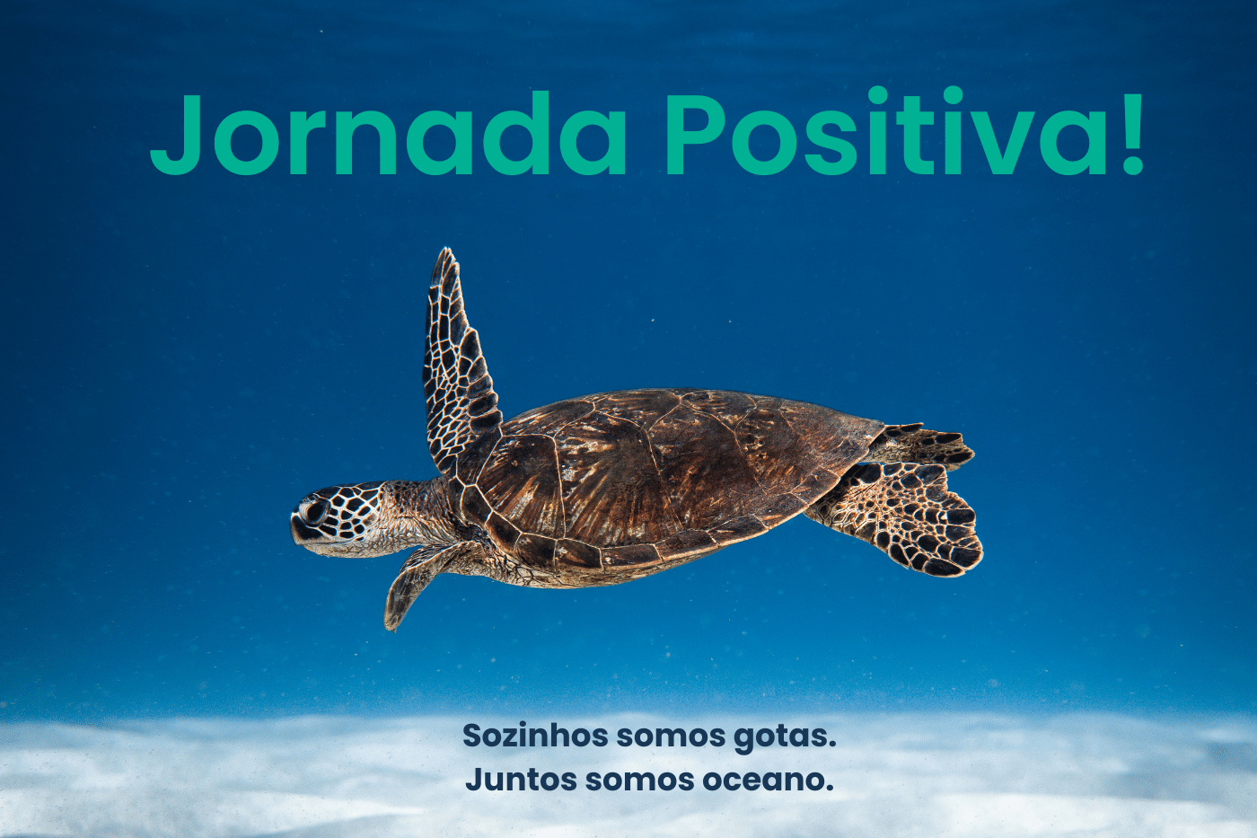 Jornada positiv.a apresenta: Camila Diasas, analista de CRM da positiv.a