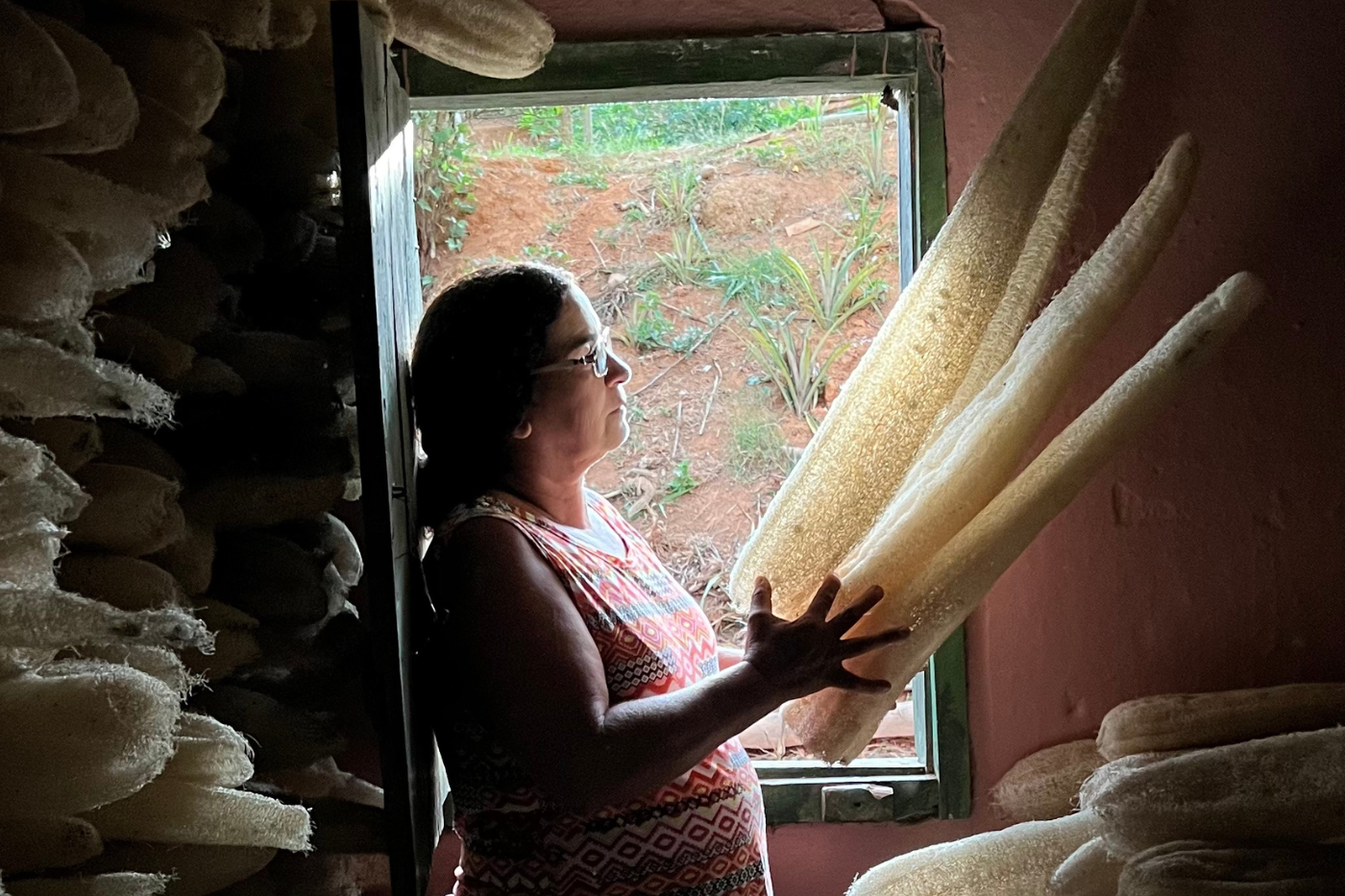 bucha e agricultura familiar