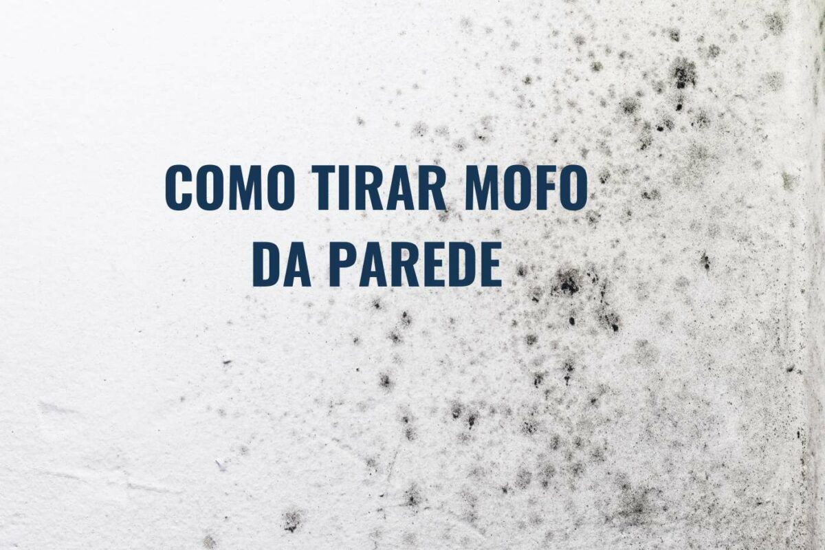 Mofo da parede