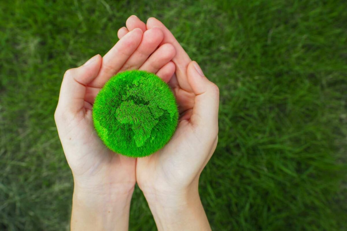 Eco ansiedade