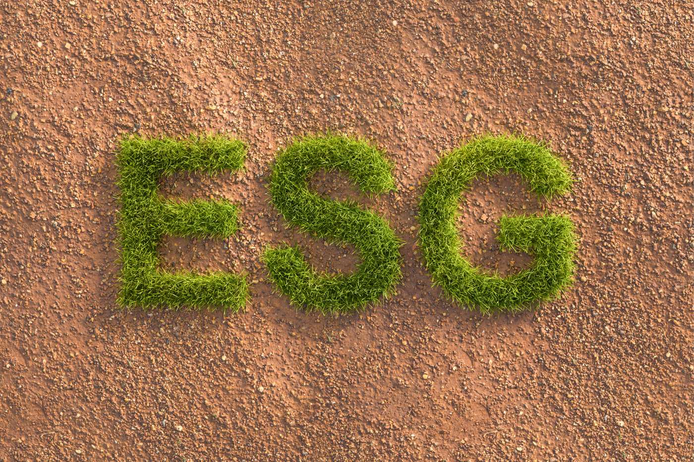 O que é ESG