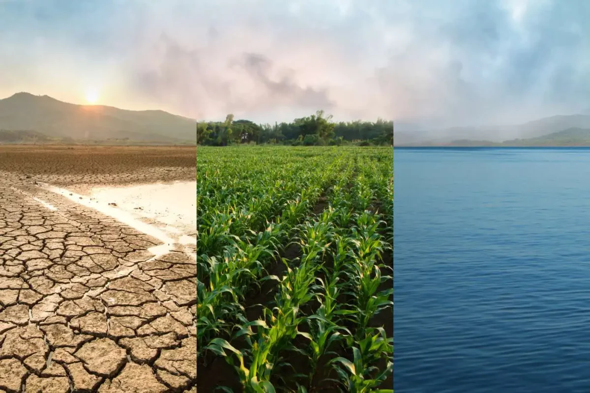 crise climática