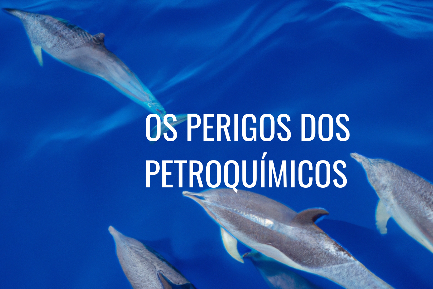 O perigo invisível dos petroquímicos: o que acontece com a água que usamos?