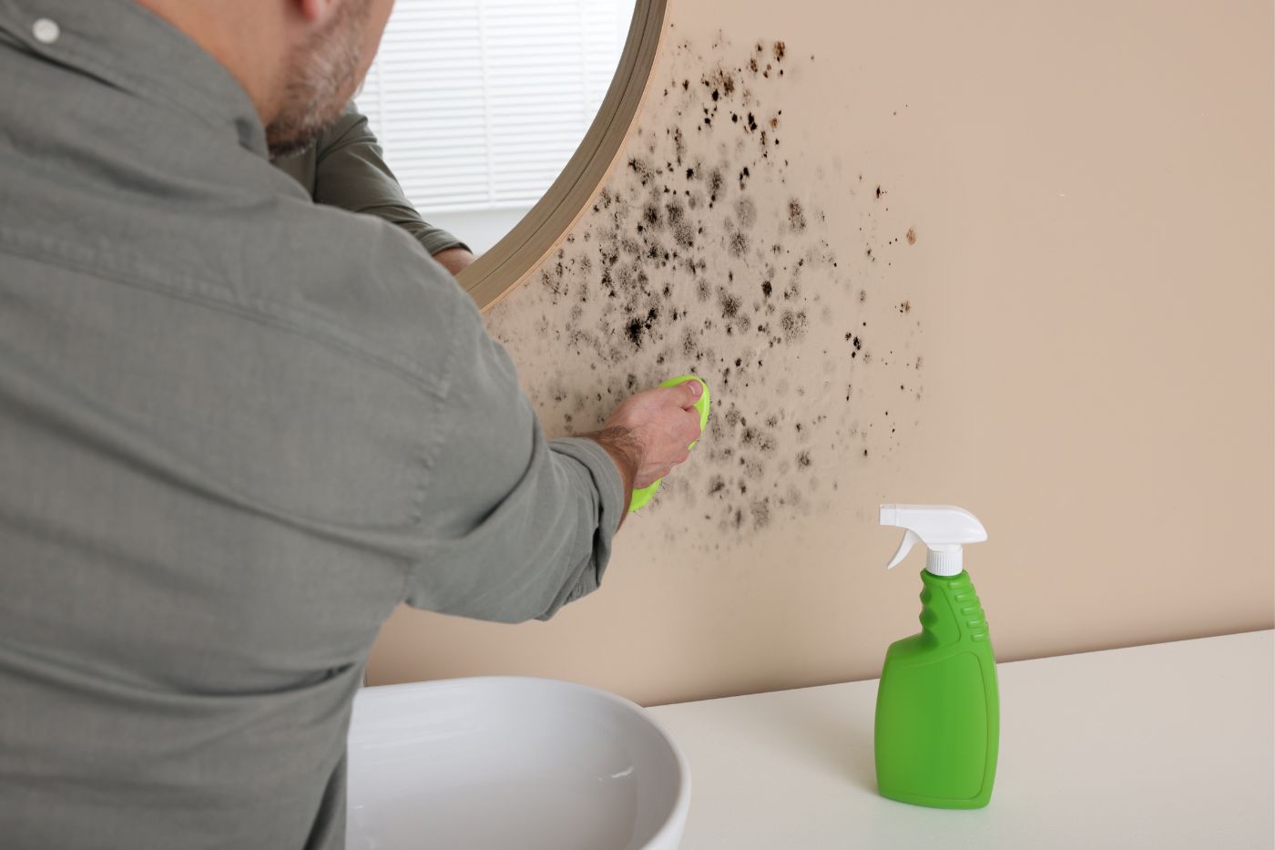 Mofo em casa: como prevenir e eliminar manchas e cheiro de umidade de vez